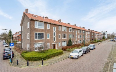 Bruijnings. 31