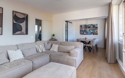 Steenvoorde. 493