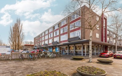 Brahmslaan 46