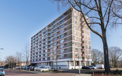 Bachstraat 216