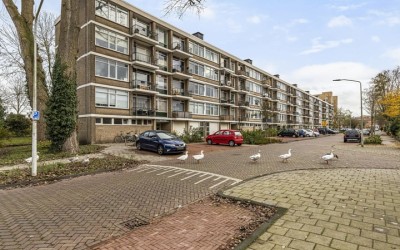 Bachstraat 492