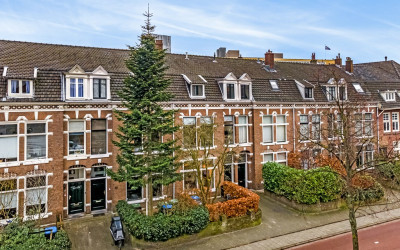 Rijnsburger. 54