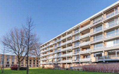 Boerhaavela. 123