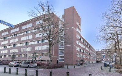 Lokhorst 89