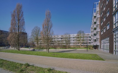 Merelstraat 125