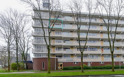 Merelstraat 266