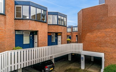 Dotterbloem. 34