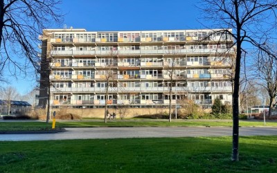Lupinesingel 370