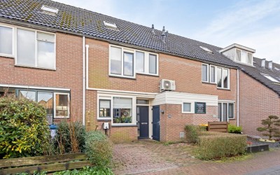 Honingzwam 26