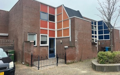 Eekhoorntje. 5
