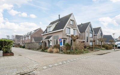 Zwenkgras 31