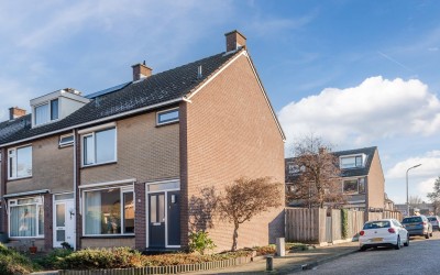 Lijster 16