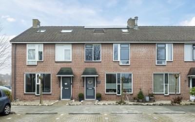 Ekster 19