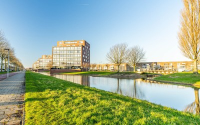 Watervogels. 306
