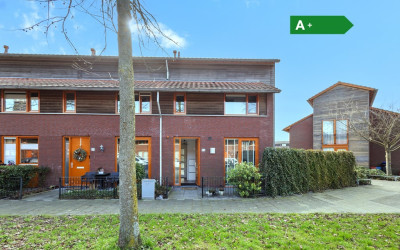Buizerdlaan 53