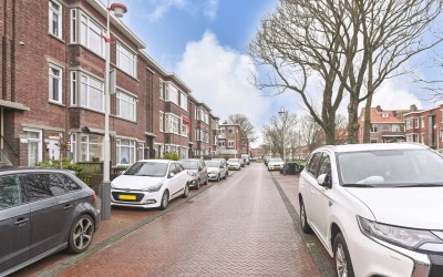Damasstraat 223