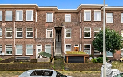 Vlierboomst. 266