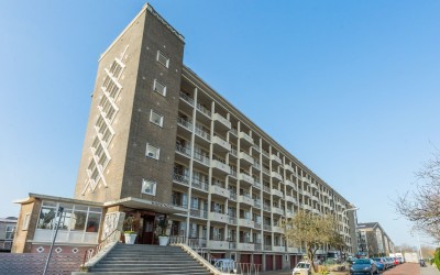 Ridderspoor. 114