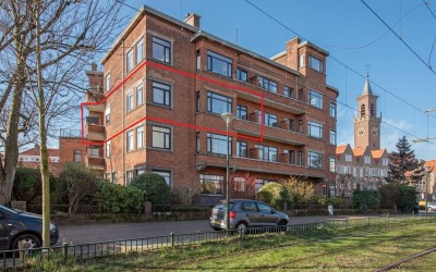 Nieuwe Park. 144-9