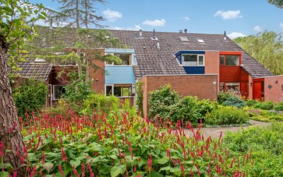 Koekamp 169