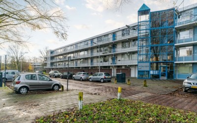 Pijperring 315