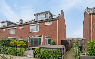 Akkerdistel 5
