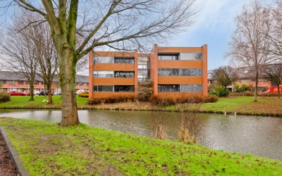 Struisvaren 18
