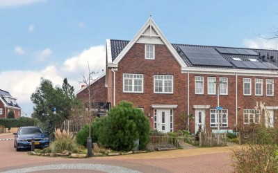 Tapijtschelp 1