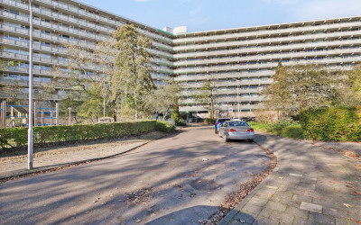 Stadhouders. 776
