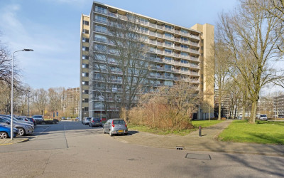 Dunantstraat 1115
