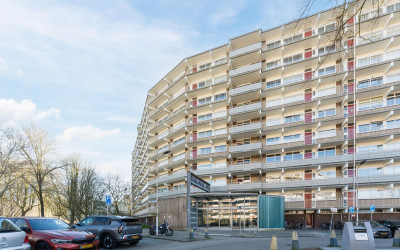 Jonkerbos 8