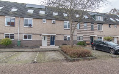 Goudenregen. 11