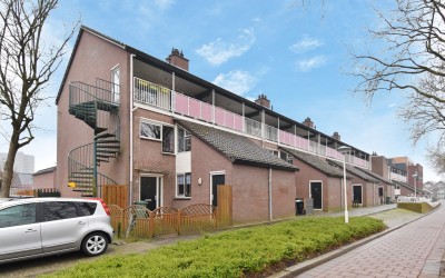 Dadelgaarde 53