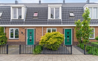 Esdoorn 4