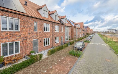 Palissanderhout 12