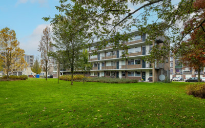 Vrijheidsla. 3