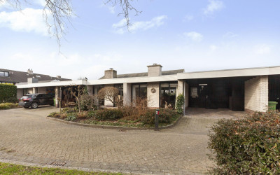 Kievitsbloem 7