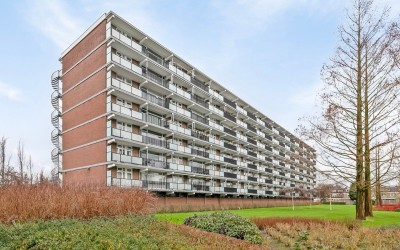 Merelhoven 55