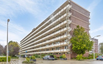 Alkenoord 211