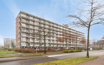 Alkenoord 305