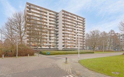 Dotterlei 797