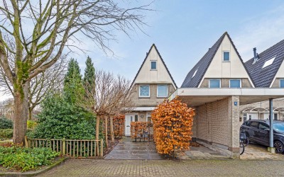 Zaagmolen 50