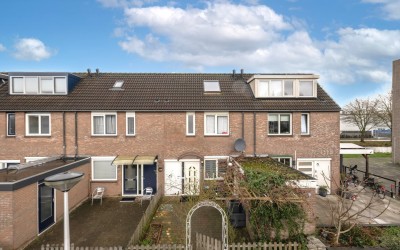 Kopspoor 53