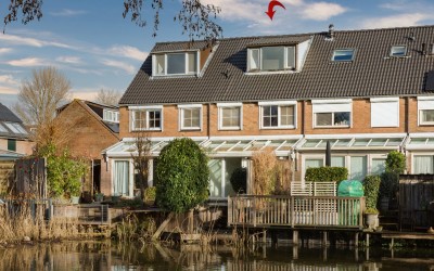 Ringspoor 195