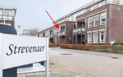 Strevenaer 16