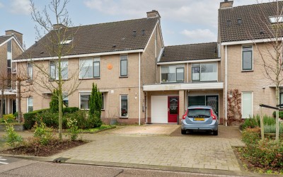 Boerhaavela. 10