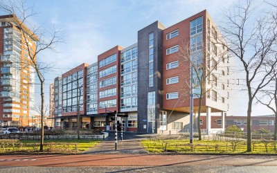 Middeldijke. 49