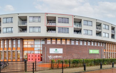 Iepenwede 38