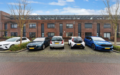 Randmeer 49