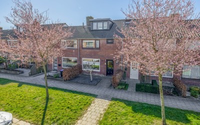 Wiekslag 8